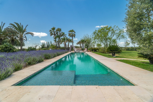 Long pool