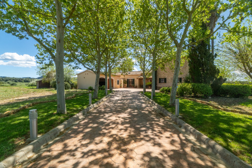 Driveway