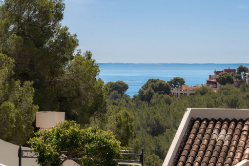 Partial sea view