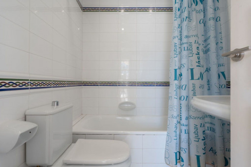 Lower-level bathroom