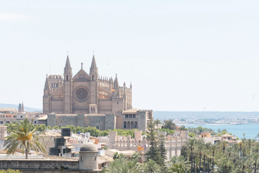 Breathtaking view of Palma Cathedral