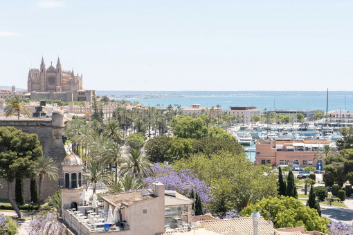 Above the rooftops of Palma – harbor, cathedral, and sea panorama