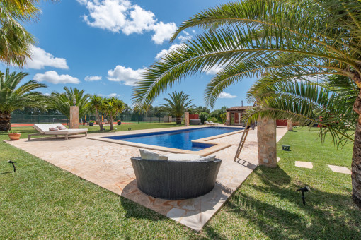 Mediterranean garden