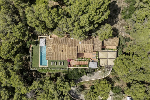 Aerial view of the finca