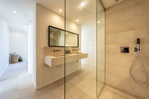 Bathroom e-suite