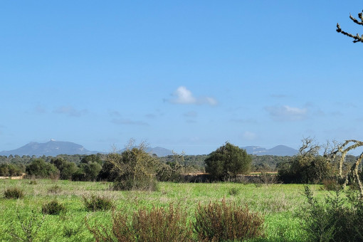 Views to Sant Salvador