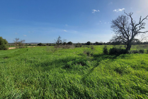 Construction can start immediately