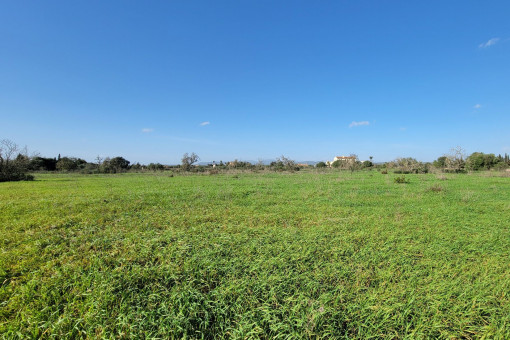 Views to Tramuntana mountains