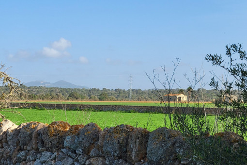 Views to Randa mountain