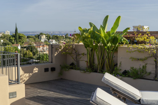 house in Genova