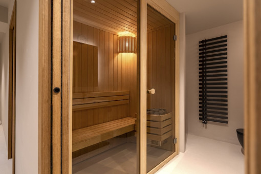 AI rendering sauna