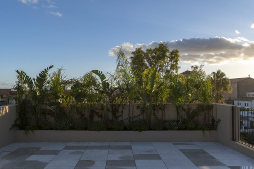 Private rooftop terrace