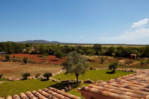 View from the upper floor