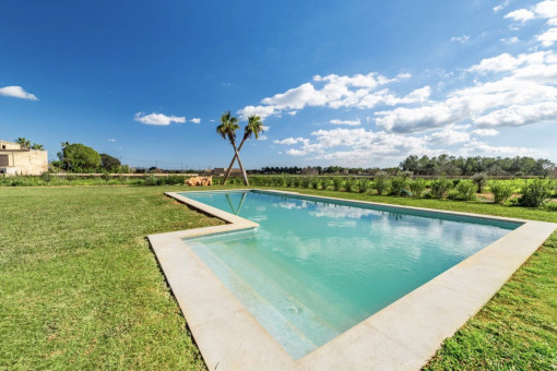 64 m² swimming pool with built-in steps