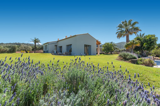 Mediterranean garden with complete privacy