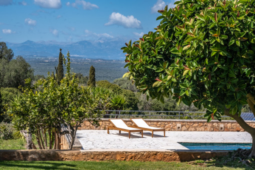 Pool and sun terrace
