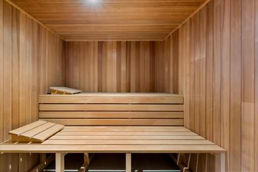 Wellness area with sauna