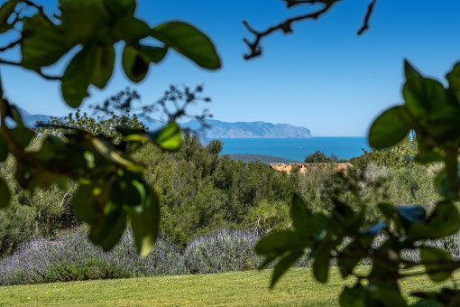 Nature and open views