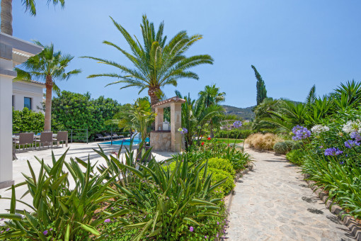 Mediterranean garden