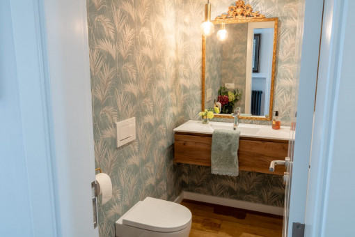 Guest toilet