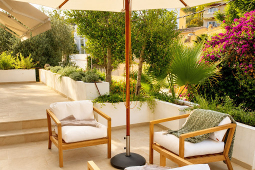 Terrace surrounded by Mediterranean plants