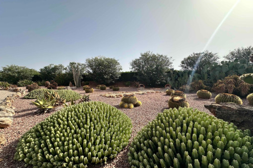 Mediterranean garden