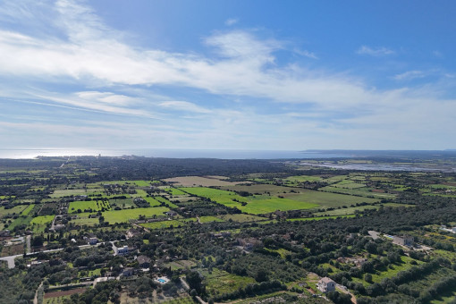 Panoramic view