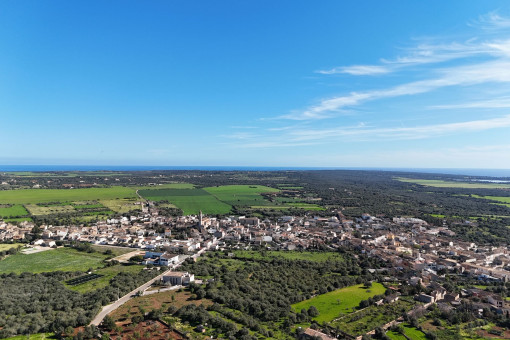 Panoramic view
