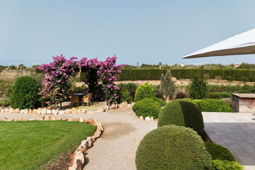 Mediterranean garden