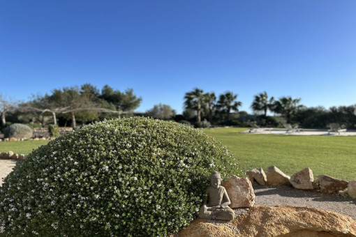 Mediterranean garden