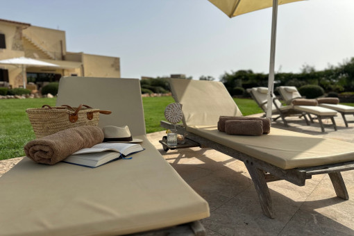 Sun loungers by the pool