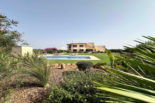 View of the finca