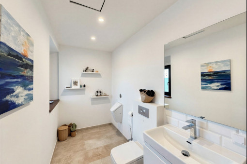Guest toilet