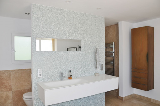 Modern bathroom with shower