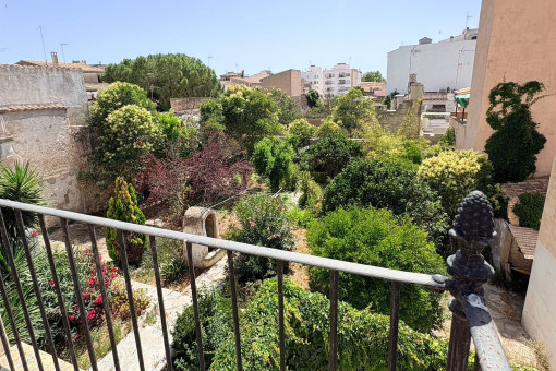 View from the terrace