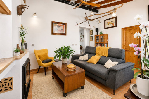 Cozy living room