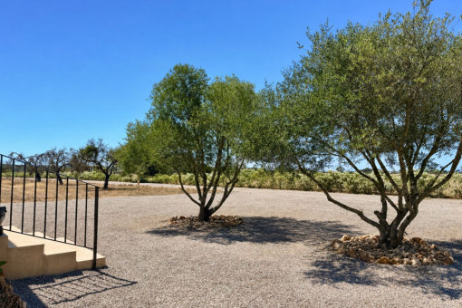 Entrance Area