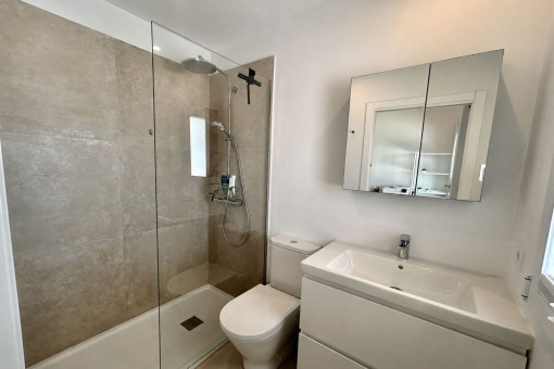 Study Bathroom
