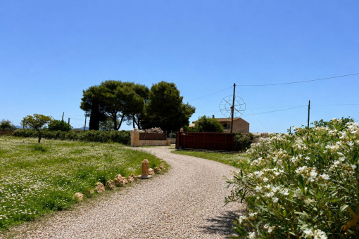 Driveway to the Finca