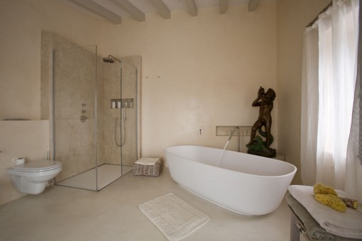 Modern bathroom with tub
