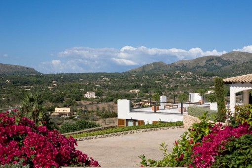 Sunny terrace of the property