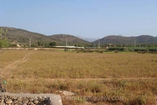 Plot with mountain view