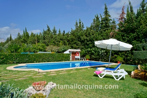 Swimming pool in the garden