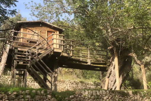 Adventure for children in the finca’s treehouse