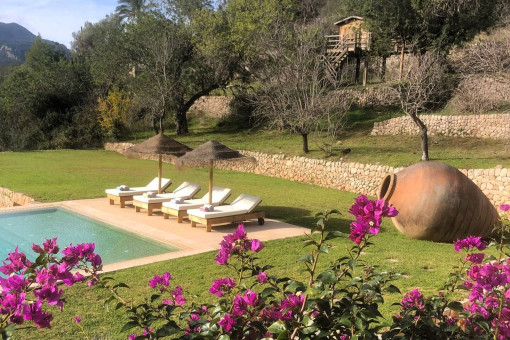 Stone finca with spacious grounds and stunning saltwater pool area