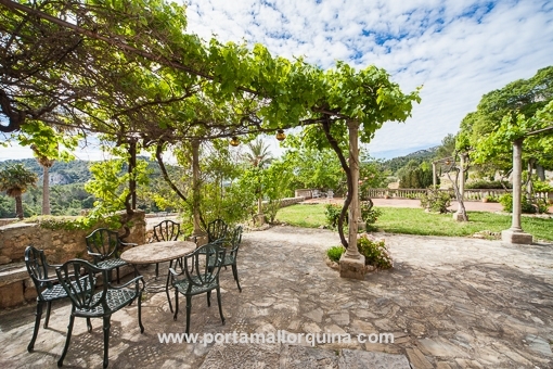 Terrace and garden