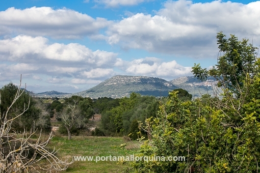 Views towards Llucmajor