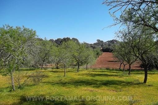 plot in S'Alqueria Blanca