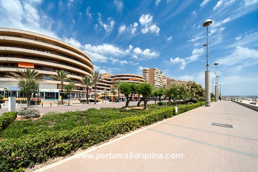 Wohnung Playa De Palma Kaufen