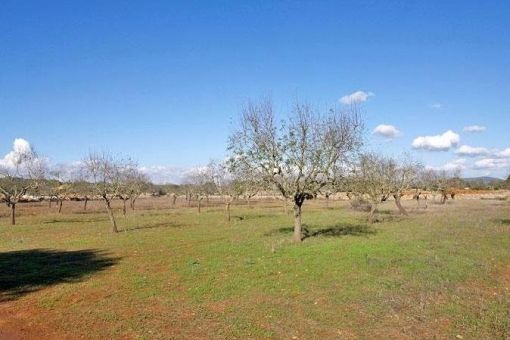 plot in Santanyi for sale